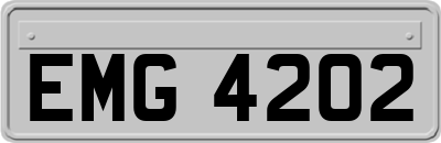 EMG4202