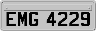 EMG4229