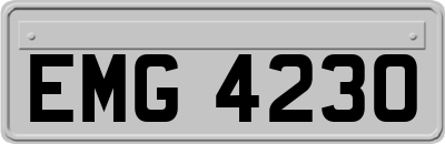 EMG4230