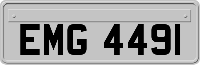EMG4491
