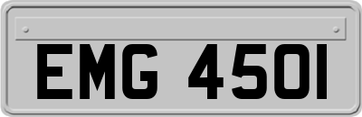 EMG4501