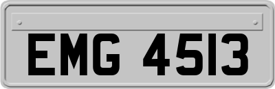 EMG4513