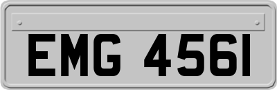 EMG4561
