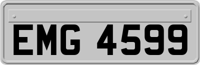 EMG4599