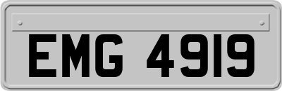 EMG4919