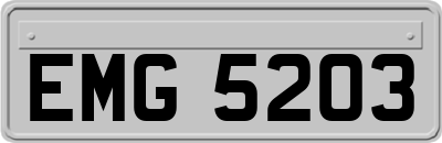 EMG5203
