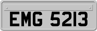 EMG5213