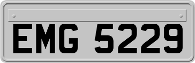 EMG5229