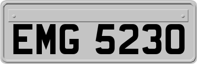EMG5230