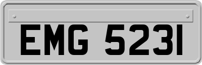 EMG5231