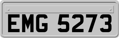 EMG5273