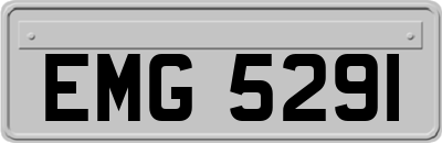 EMG5291