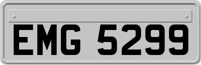 EMG5299