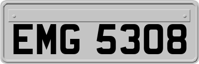 EMG5308