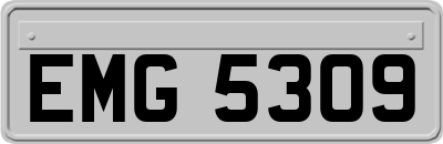 EMG5309