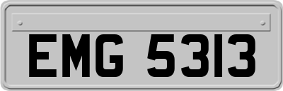 EMG5313