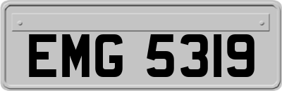 EMG5319