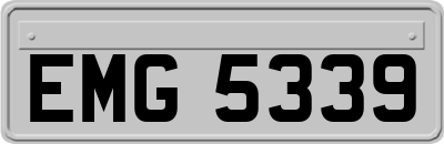 EMG5339