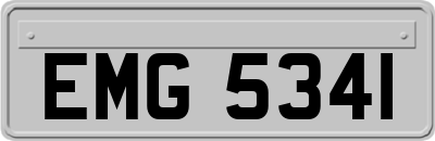 EMG5341