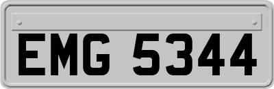 EMG5344