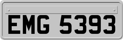 EMG5393