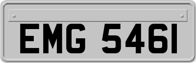 EMG5461