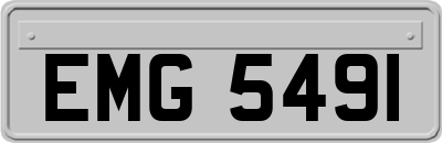 EMG5491