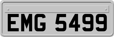 EMG5499