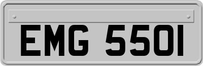 EMG5501