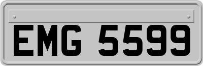EMG5599