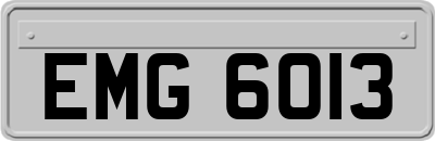 EMG6013