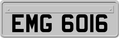EMG6016