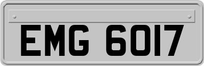 EMG6017