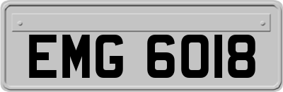 EMG6018