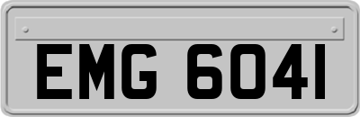 EMG6041