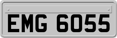 EMG6055