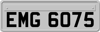 EMG6075
