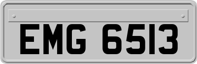 EMG6513