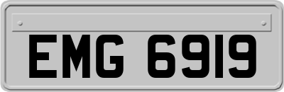 EMG6919