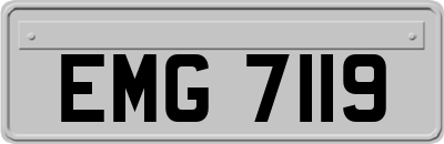 EMG7119