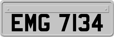 EMG7134