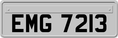 EMG7213