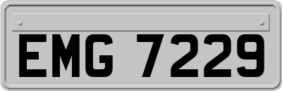 EMG7229