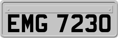 EMG7230