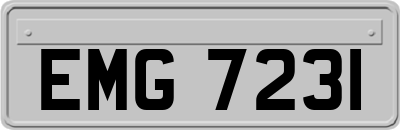 EMG7231