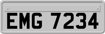 EMG7234