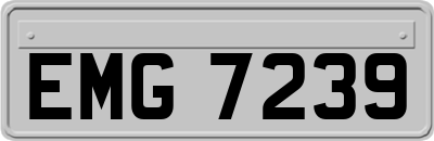 EMG7239
