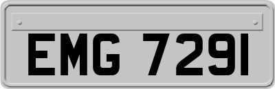 EMG7291