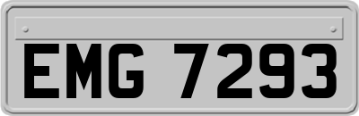 EMG7293