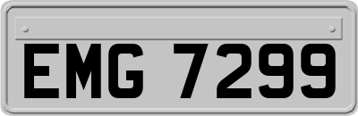 EMG7299